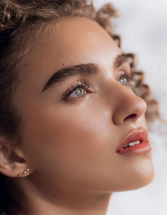 Brow Refresh Collection